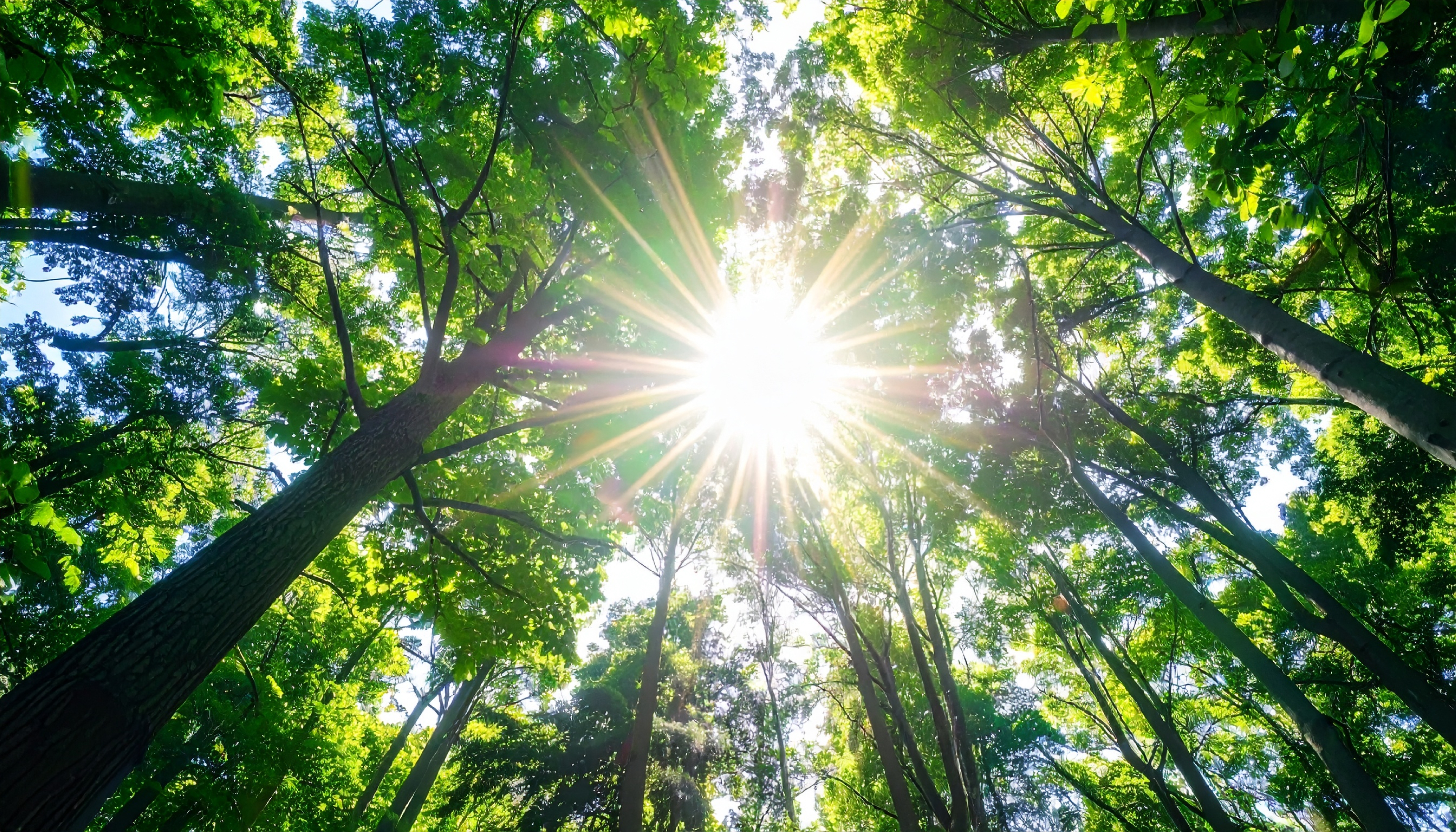 FailureからSuccessに飛び移る人